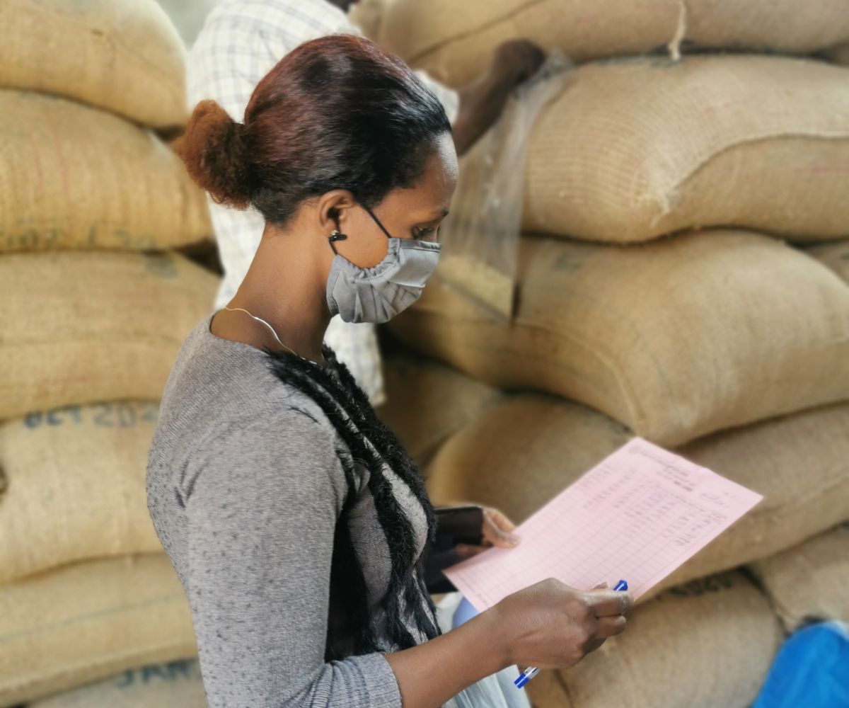 What does a green coffee buyer do part 4 precontracting Tropiq